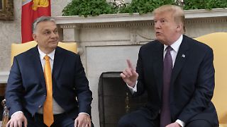 Trump "sehr wütend" über ukrainische Druschba-Angriffe