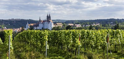 Adelspaar wehrt sich gegen Video mit AfD-Politikerin auf seinem Weingut