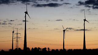 Expertin fordert Beschleunigung von "zu langsamer" Energiewende