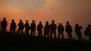 Einwanderungsbehörde nimmt Feuerwehrmänner im Einsatz fest