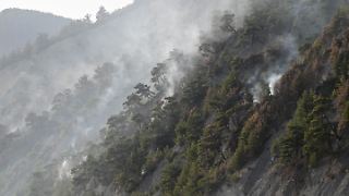 Waldbrand in Südrussland bedroht Putins angebliche Luxusresidenz