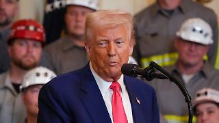 Wissenschaftler zerpflücken "Klimabericht" von Trumps Regierung
