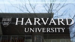 Harvard siegt gegen Trump