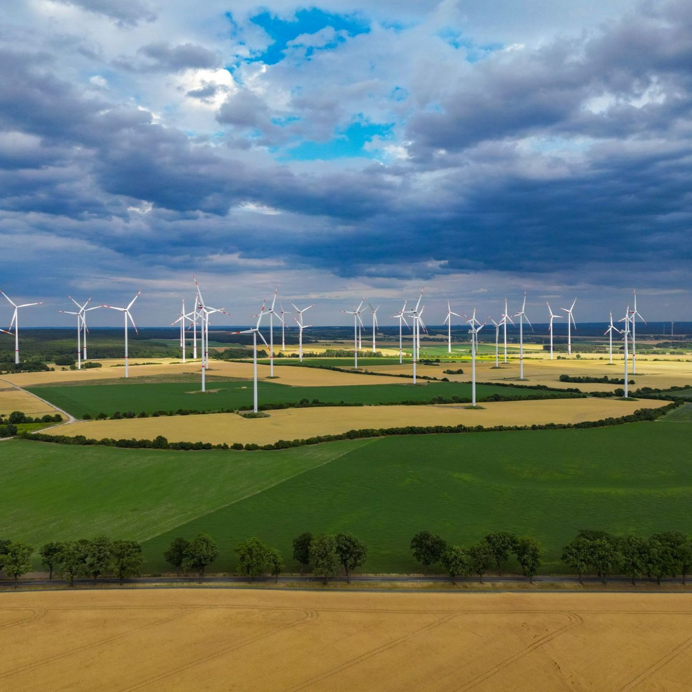 Umweltverband WWF sieht Brandenburg bei Energiewende vorn