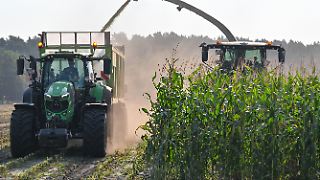 Kabinett bereitet Rückkehr der Agrardiesel-Hilfen vor