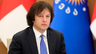 Georgiens Regierung geht auf deutschen Botschafter los