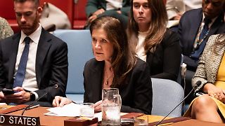 US-Botschafterin: "Verteidigen jeden Zentimeter Nato-Territorium"