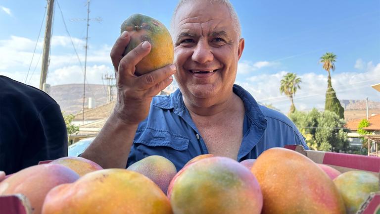 Warum Israels Mangobauern Probleme haben