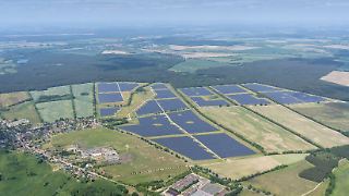 Reiche will Erneuerbare Energien weniger fördern