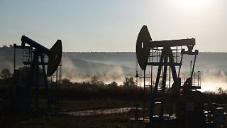 Von der Leyen will russische Energieimporte schneller beenden