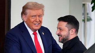 Selenskyj plant Treffen mit Trump in New York