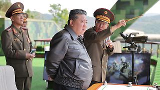Nordkorea soll Uran für mehr als 40 Atombomben haben