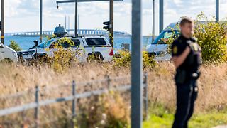 Finnlands Verteidigungsminister sieht in Moskaus Drohnenattacken Ablenkungsmanöver