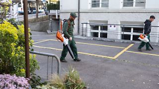Zürich hat gewählt: Laubbläser nur noch im Herbst erlaubt