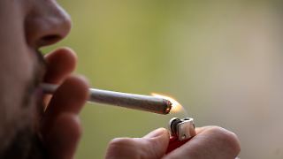 Cannabis-Reform bringt bisher kaum Effekte auf Schwarzmarkt