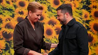 Selenskyj will Dänemark bei Drohnenabwehr helfen