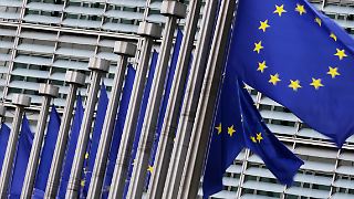 Brüssel will eine Milliarde Euro in KI pumpen