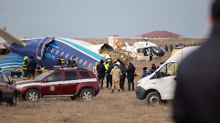 Putin gibt zu: Passagierjet stürzte nach Fehler von russischer Flugabwehr ab