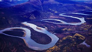Darum baut Trump eine Megastraße in die unberührte Wildnis