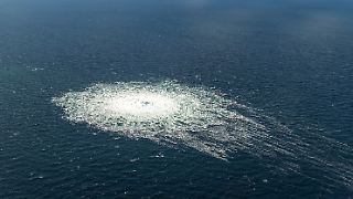 Italienisches Gericht erlaubt Auslieferung von Nord-Stream-Saboteur