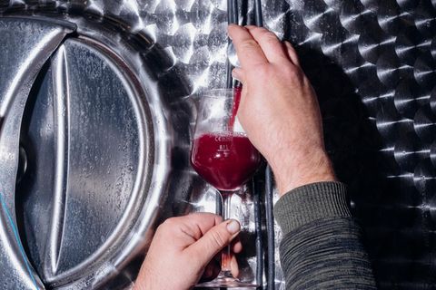 Wein aus Usedom? Gibt es wirklich!