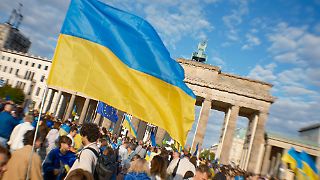 Studie: Hälfte der früh geflohenen Ukrainer hat einen Job