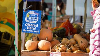 Trump kürzt Bedürftigen Zuschüsse für Lebensmittel