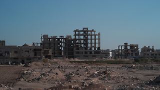 Steinmeier wirbt in Syrien-Frage für Besonnenheit