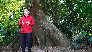 Lula startet Milliardenfonds für Tropenwald