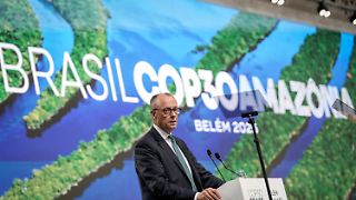 Merz will "namhaften Betrag" für Tropenschutz geben