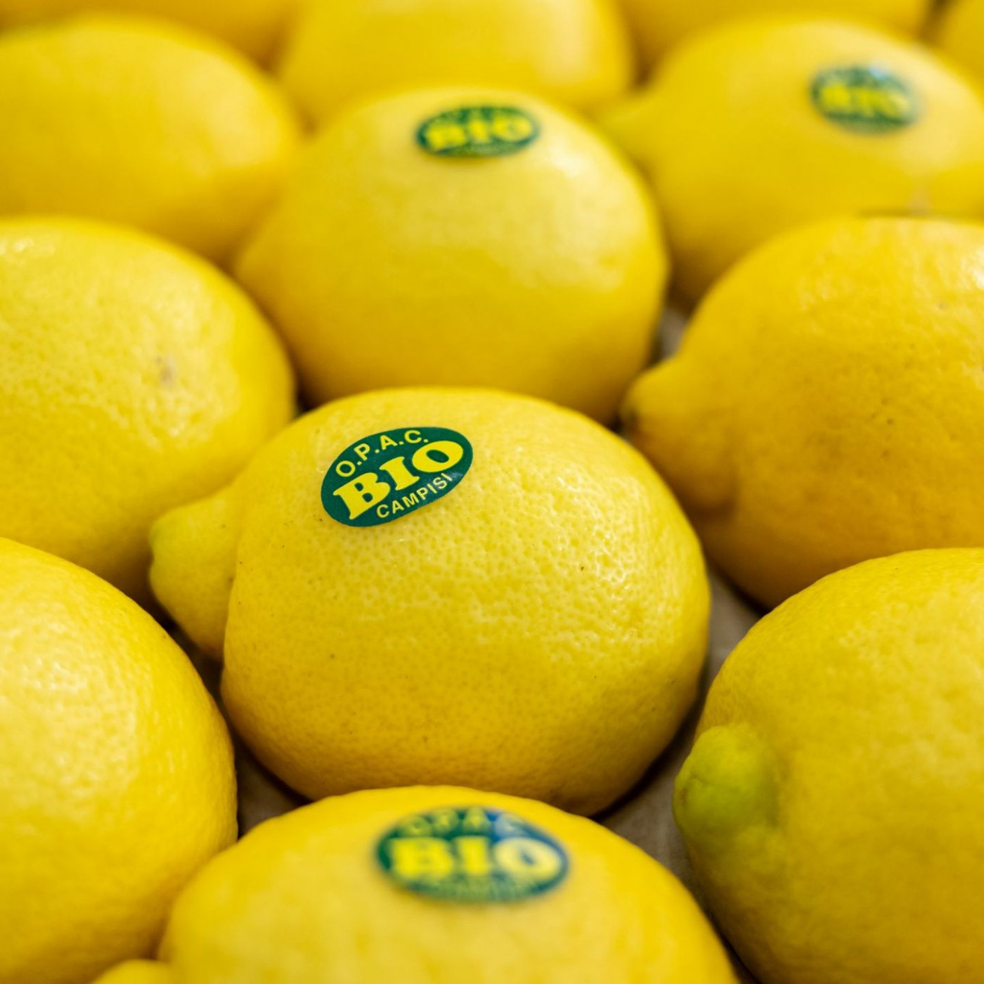 Bio-Lebensmittel sind so gefragt wie nie