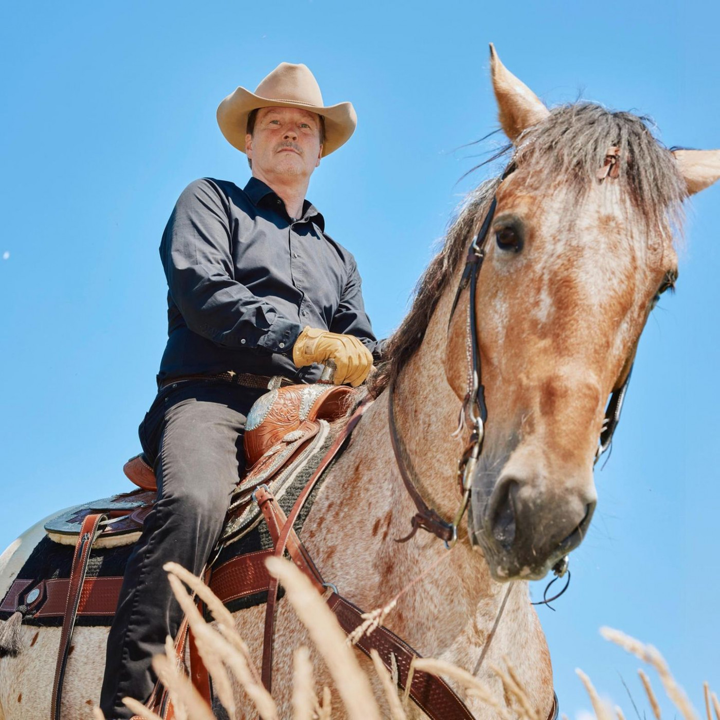 Plötzlich Reitlehrer – oder Programmiererin