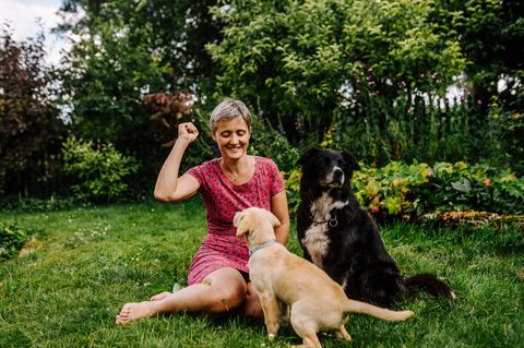 Hundeforscherin Juliane Bräuer: Warum gucken Hunde manchmal schuldig?