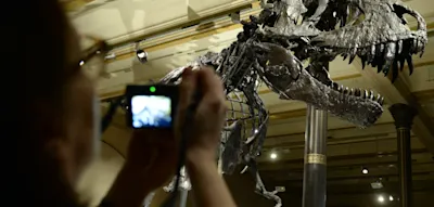 Wie Russen-Hacker per „Brute-Force-Angriff“ eine Berliner Institution lahmlegen – auf Jahre