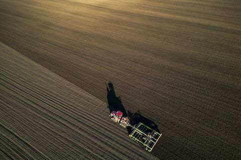 Bauern besorgt: Kosten steigen, Preise fallen