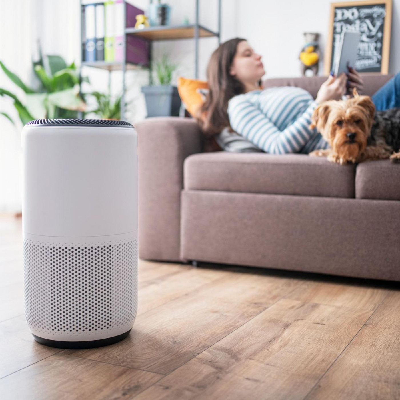 Gegen Staub, Pollen und Rauch: Luftreiniger heute 84 % g&uuml;nstiger