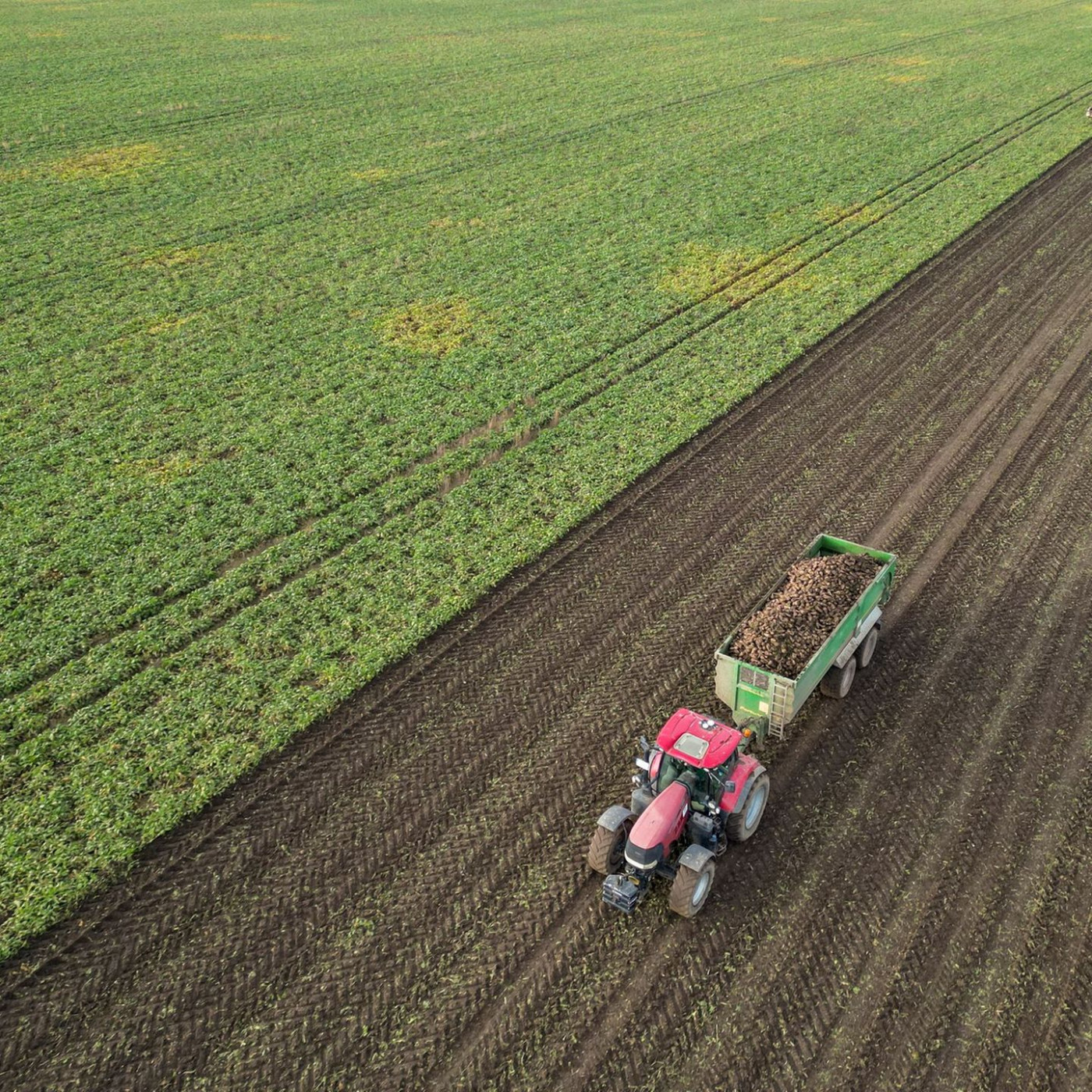 Bauern mit gedr&uuml;ckten Erwartungen f&uuml;r 2026