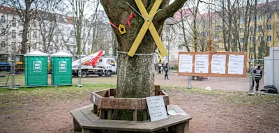 B&auml;ume d&uuml;rfen nicht gef&auml;llt werden &ndash; Umweltaktivisten verhindern Bau von Fl&uuml;chtlingsheim