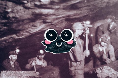 Dieser s&uuml;&szlig;e Fratz soll die US-Kohleindustrie reinwaschen