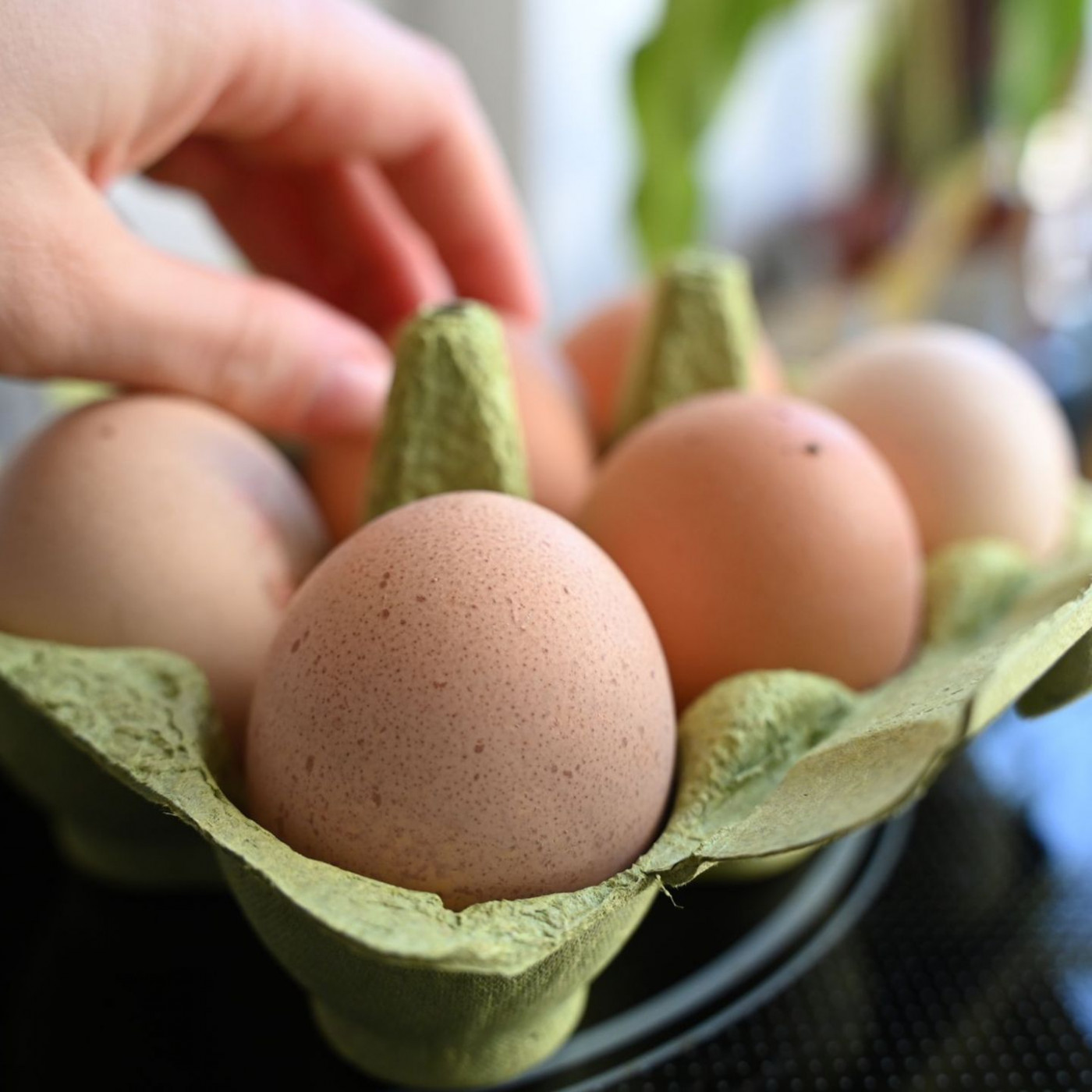 Spitzt sich der Eier-Engpass vor Ostern zu?