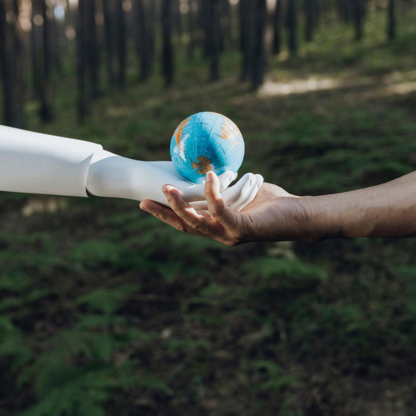 Die beste KI-Wette ist ein ETF auf den MSCI World