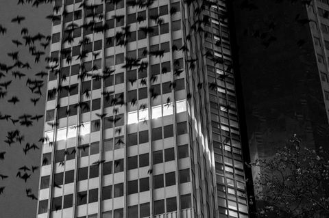 Hier ist schon wieder etwas faul