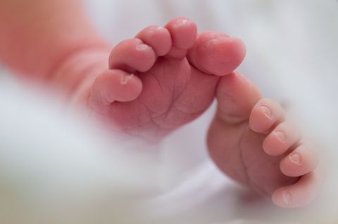 Forschung: Paare im Homeoffice bekommen mehr Kinder