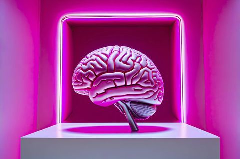 Schnell, schnell &ndash; probieren Sie das Quiz!