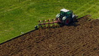 Steigende D&uuml;ngerpreise: Warum G&uuml;lle keine einfache Alternative ist