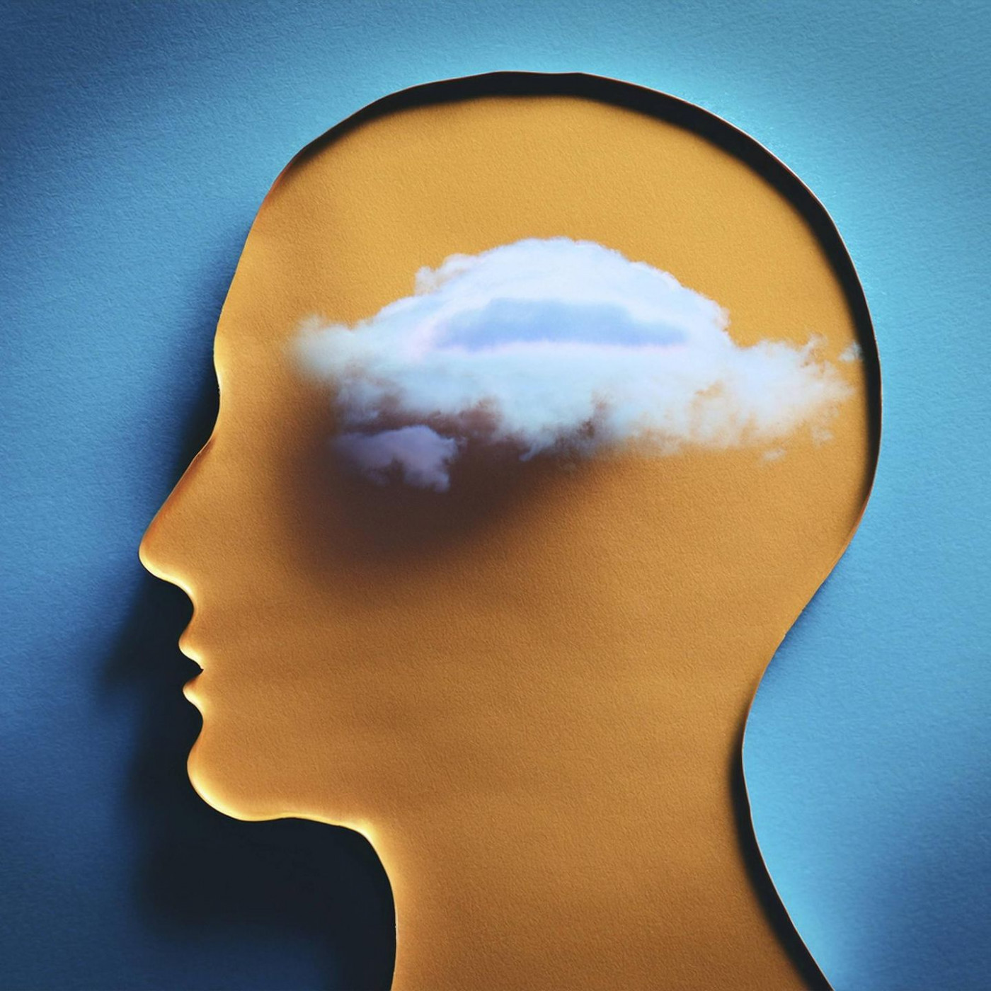 Schnell gel&ouml;st ist halb gewonnen: Testen Sie Ihr Wissen im Quiz!