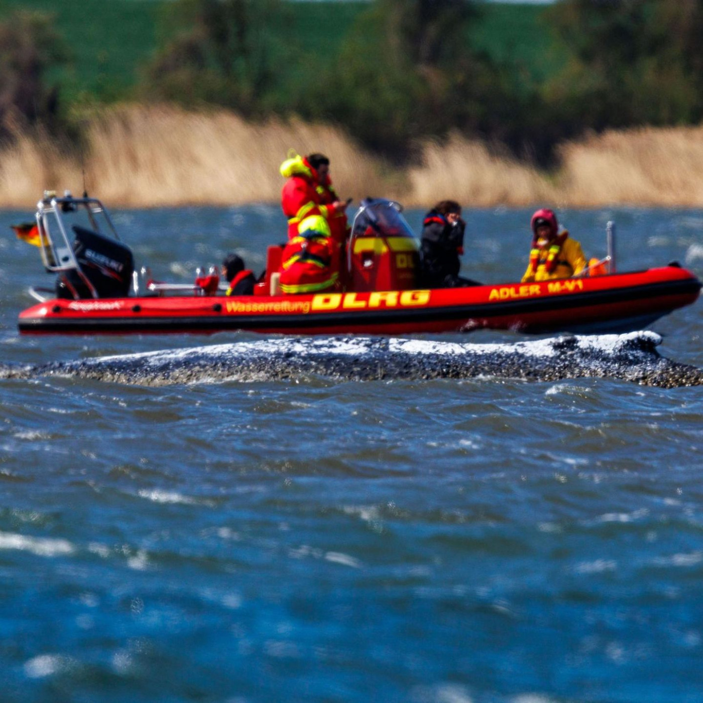 &bdquo;Die Rettungsaktion war eine schlechte Idee&ldquo;