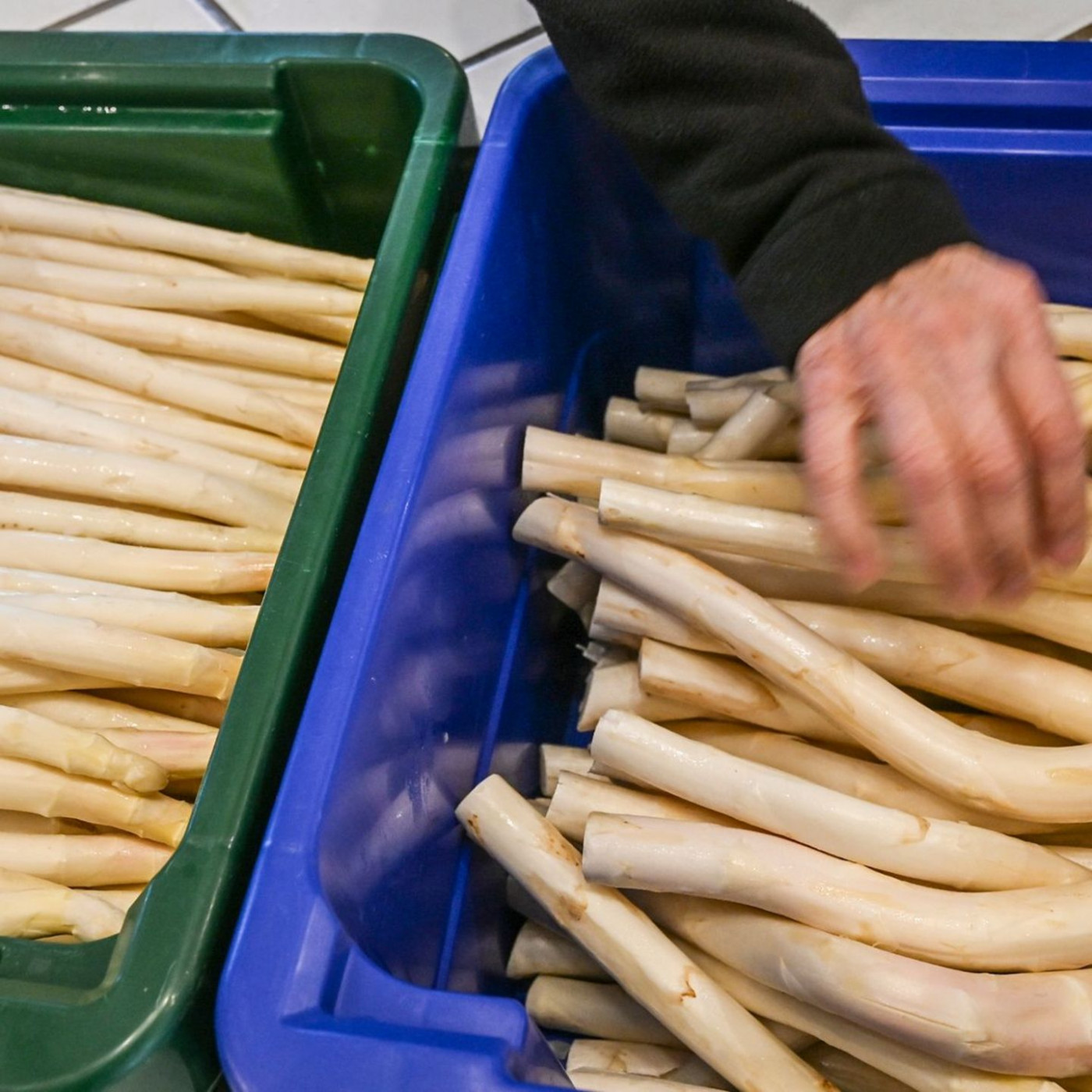 So g&uuml;nstig ist regionaler Spargel aktuell zu haben