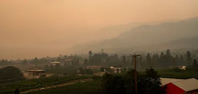 Westkanadische Provinz ruft wegen Waldbr&auml;nden Notstand aus &ndash; 20.000 Menschen evakuiert
